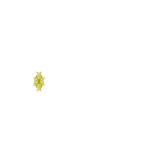 LRWrangler's emblem