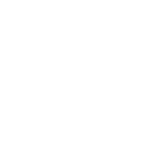 MegaDok11's emblem