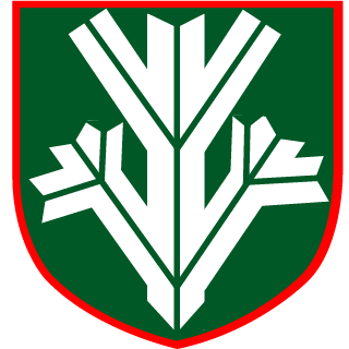 I_am_CIA's emblem