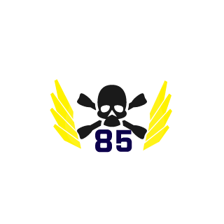 darkwingduck123's emblem