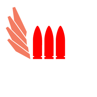 N1SIGMA's emblem