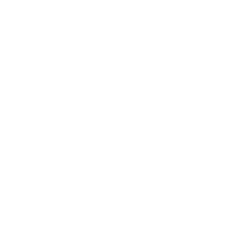 zffir's emblem