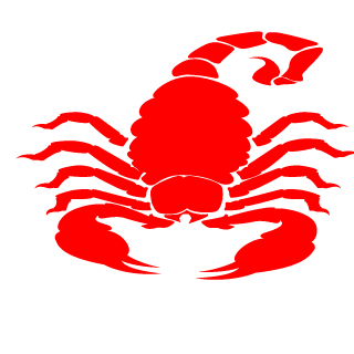HeyItsRyanYT's emblem