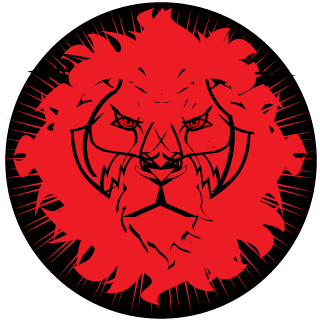 Ultra Dynamic Gaming's emblem