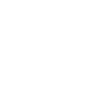 ShiftyShifter1's emblem