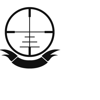 -ViniciusM131's emblem