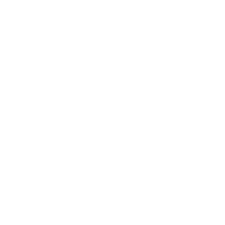 santino55665's emblem