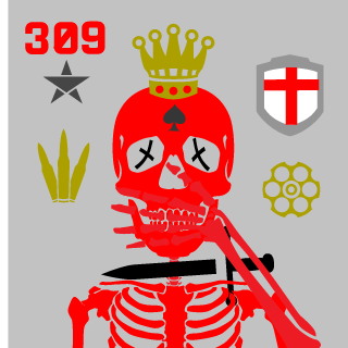 Vote_4_Pedro309's emblem