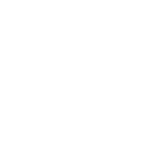 SteelPendulum's emblem