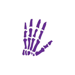 Skoodlz's emblem