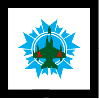 Playerhaiter's emblem