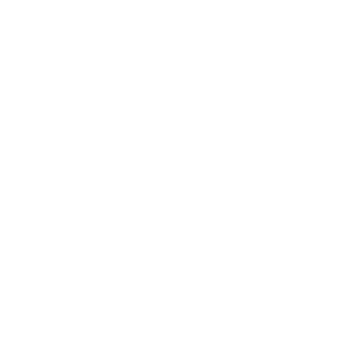 0xFF01's emblem