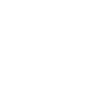 estevao-br's emblem