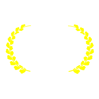Aka-OGsonic's emblem