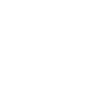 Lightman1990's emblem