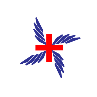 Skyhunter51293's emblem