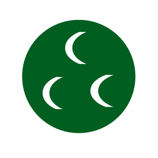 PioneerCS's emblem