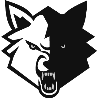 BBingBongg's emblem