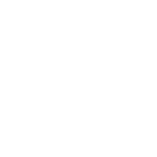 NikPeroff's emblem
