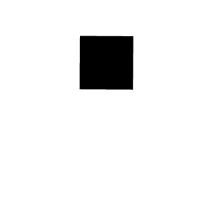 0Ninja's emblem