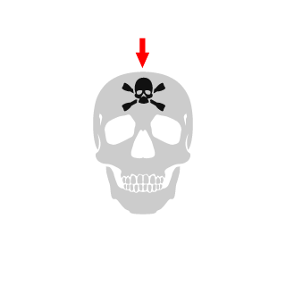 Safakillah's emblem