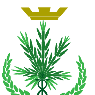 TheBridgeHead's emblem
