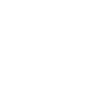 stranniyparen228's emblem