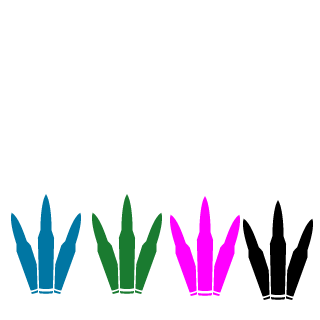 BobbyBVEVO's emblem