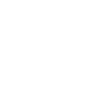 TheIceCreaM95's emblem