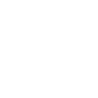 SNAKEFLAME-X's emblem