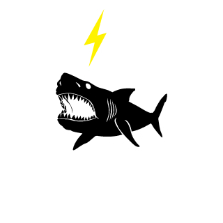 1SandR1's emblem