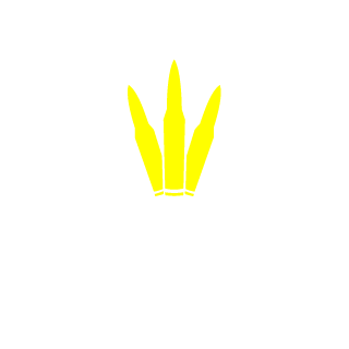Hew123's emblem