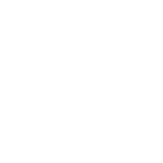Vision1516's emblem