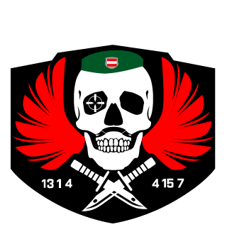 MjrExitium's emblem