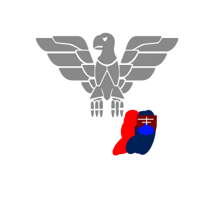 FurionSvK's emblem