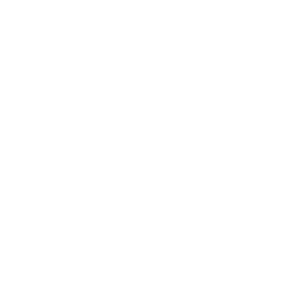 Maj3stic21's emblem