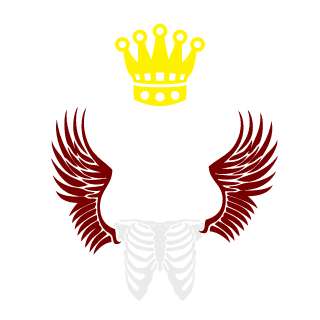 -SKYRIMM-'s emblem