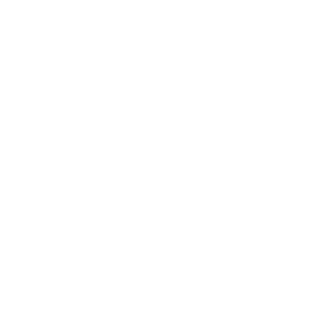 1111b2's emblem