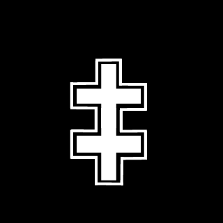 Rokis166's emblem