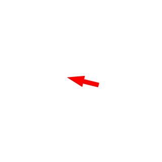 zobbyblob's emblem