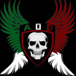 AnGeL E-Sports's emblem