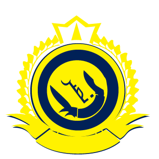 n9rawy_5220's emblem