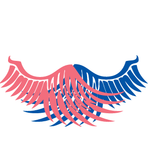 6bac490668fa3846's emblem