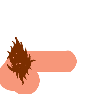 fenceviolato's emblem