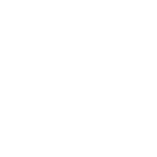 cameroncsmith53's emblem