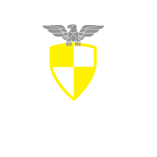 JoaoMedes's emblem