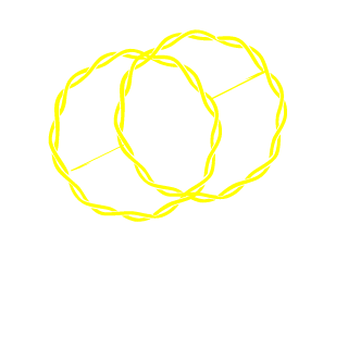 Sealteamriks's emblem