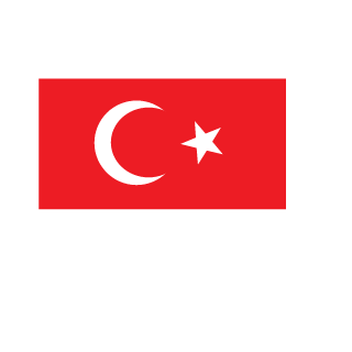 YGTOZCN's emblem