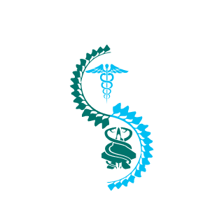 kaisen28's emblem