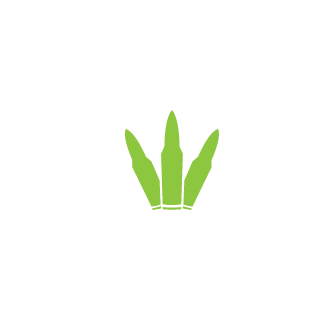 Scarew19's emblem